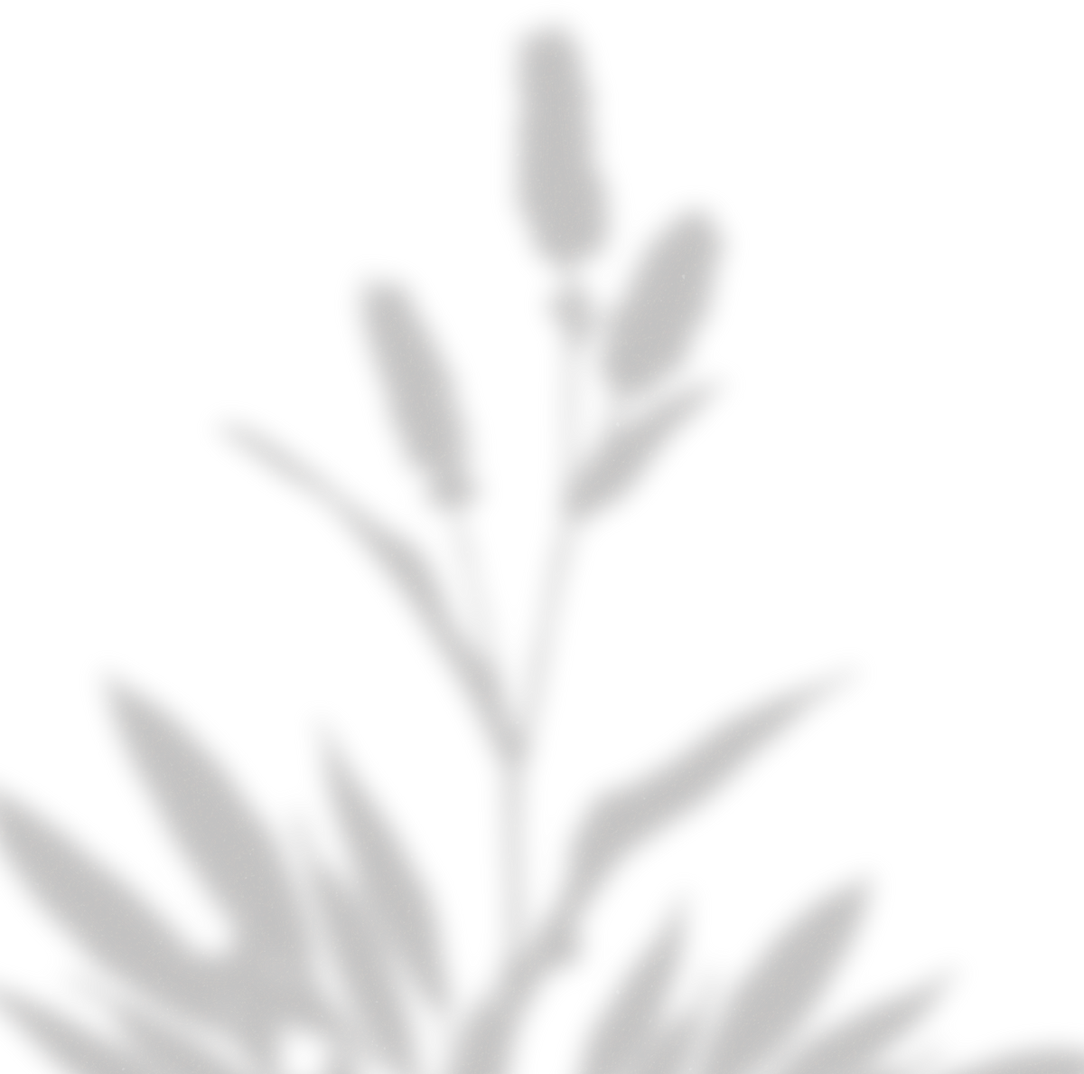 Simple Floral Shadow Fluffy